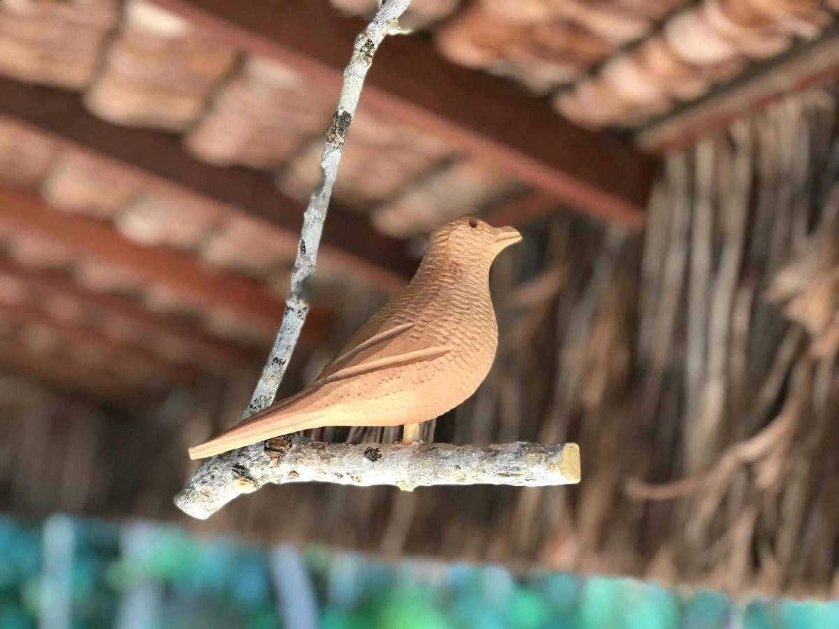 Appartamento Bangalo Dos Sonhos Morro de São Paulo Esterno foto